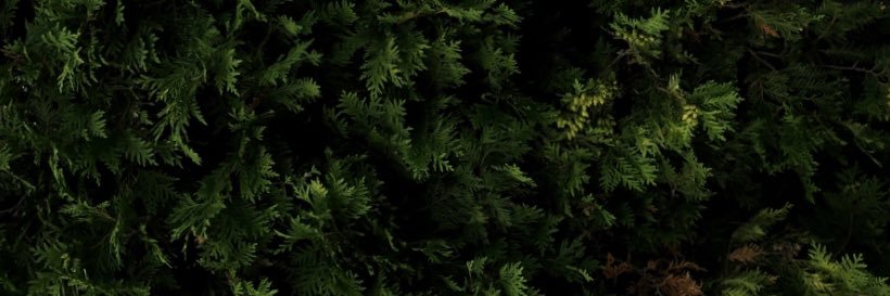 okitszake's profile banner image