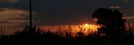 SSantecchia's profile banner image