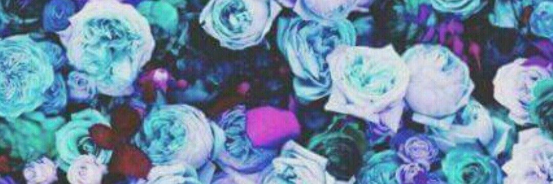 Ale_montesp's profile banner image