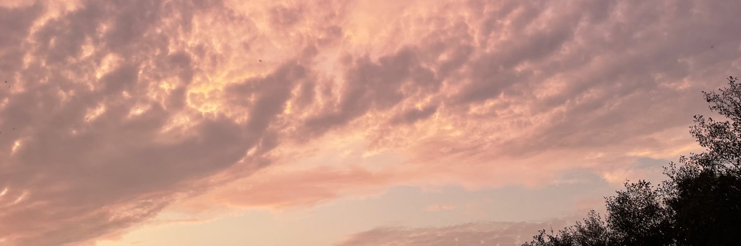ChloFab's profile banner image
