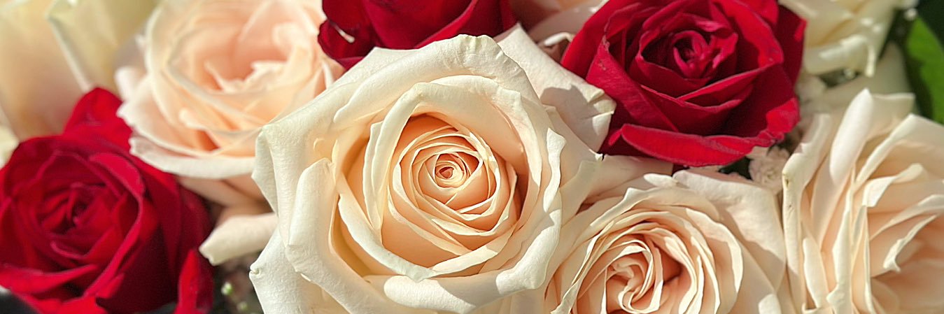 MaMacyMarie's profile banner image