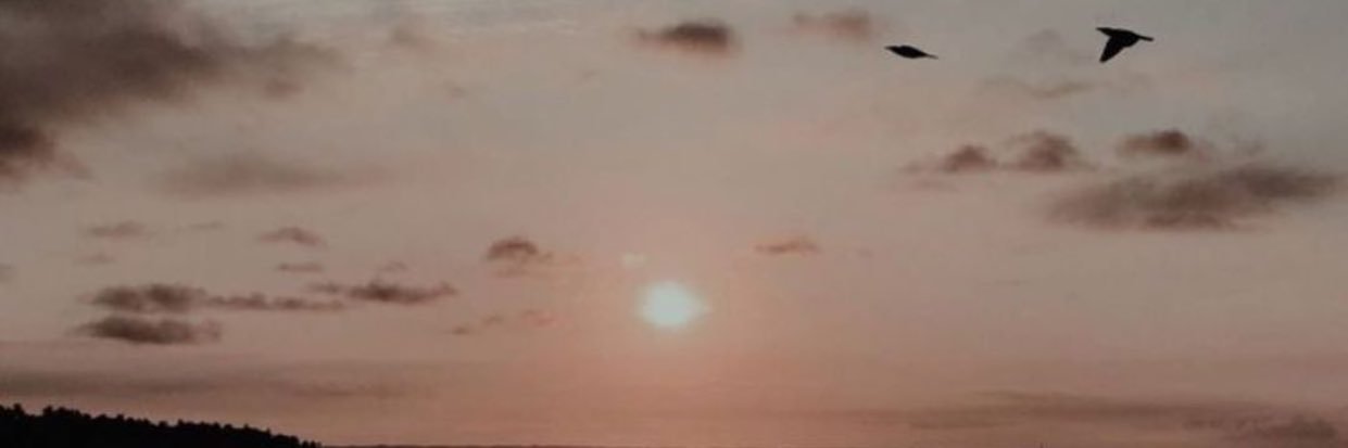glcanaslanhan1's profile banner image