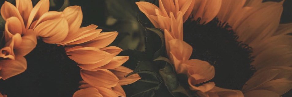 Chaparra____'s profile banner image