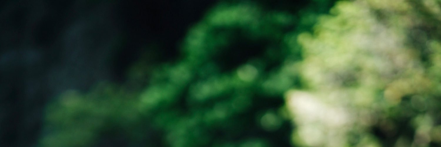 holmslewis's profile banner image