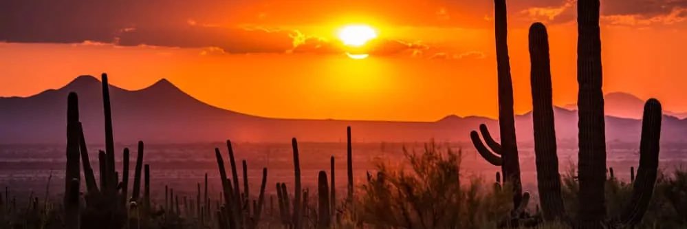 PharmD🅰️z banner