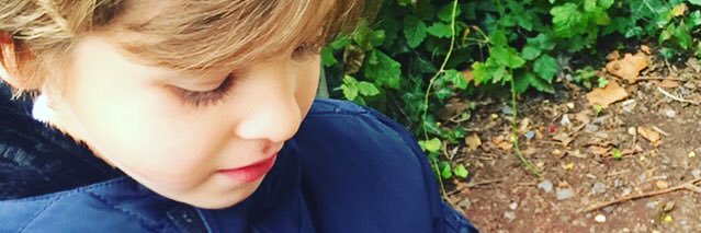 marniedavage's profile banner image