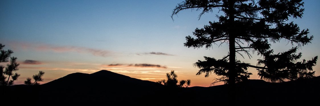 dtobrien94's profile banner image