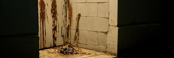 _stevebo Profile Banner