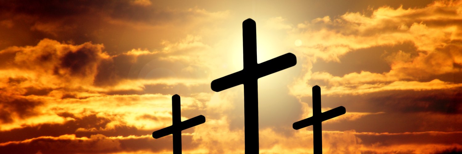 انجي نعيم banner