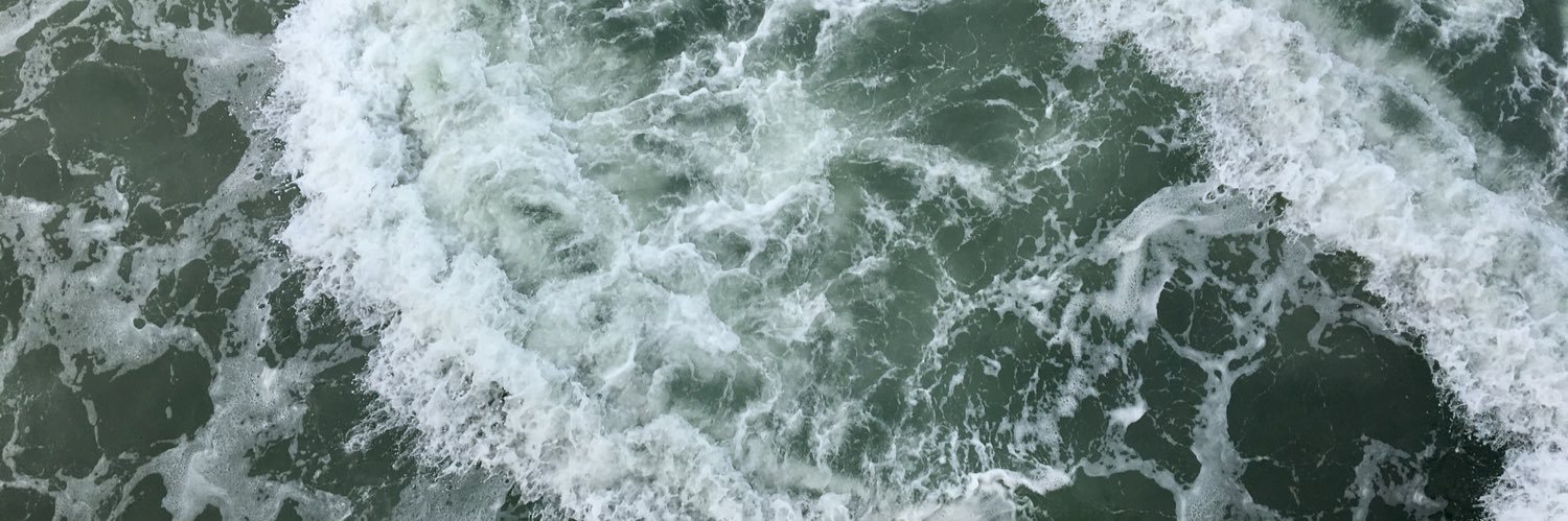 avanevad's profile banner image