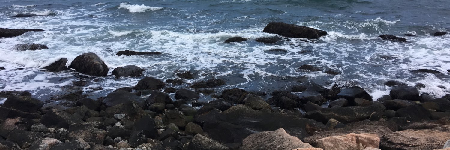Lizlarkin77's profile banner image