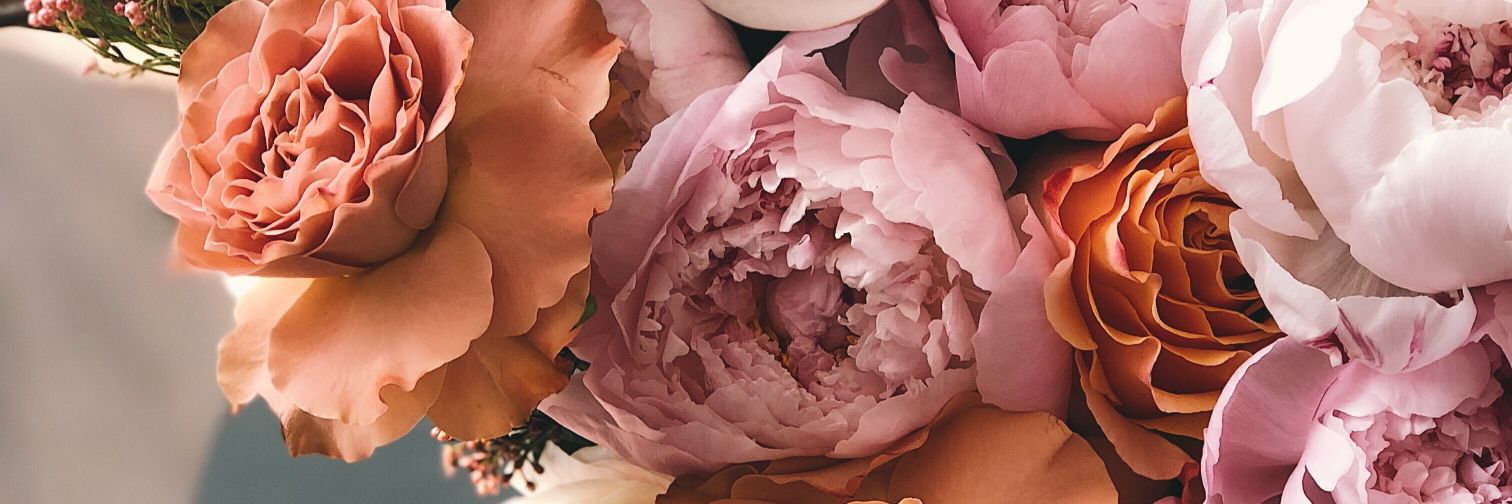 misieneme's profile banner image