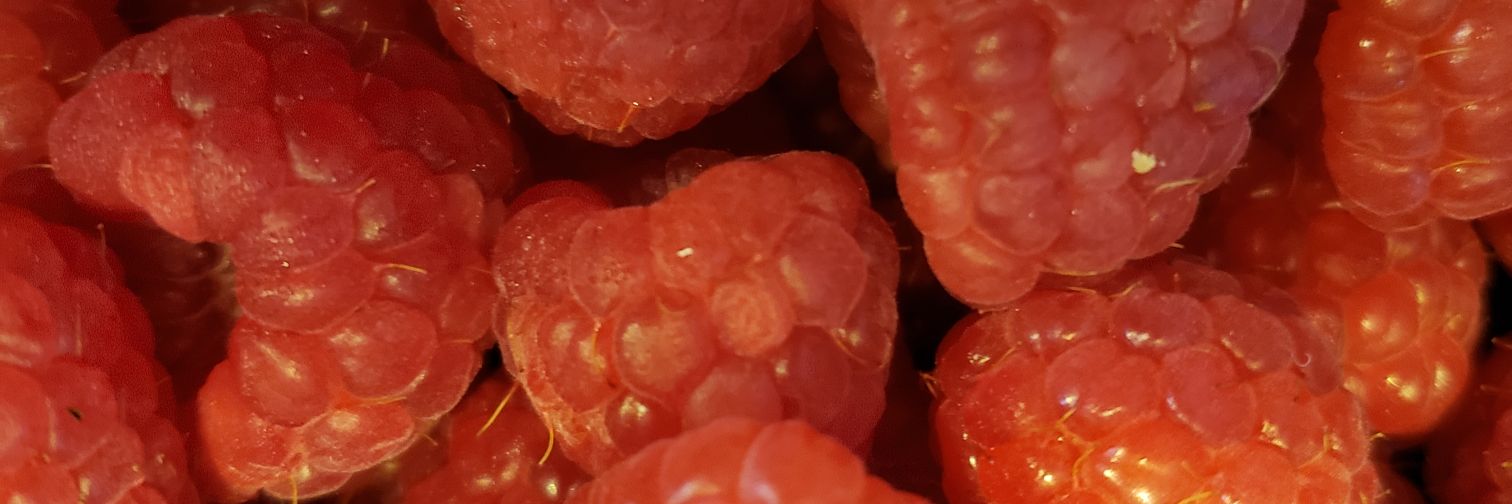 raspberry_vibes's profile banner image
