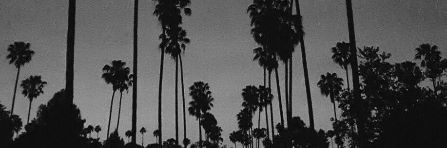 weldon_nick's profile banner image