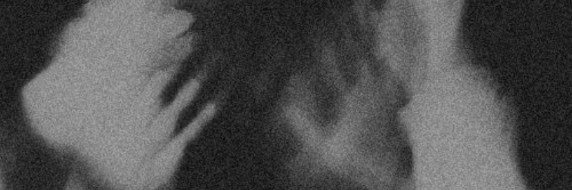 beccasola's profile banner image