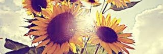 Katlego__C's profile banner image