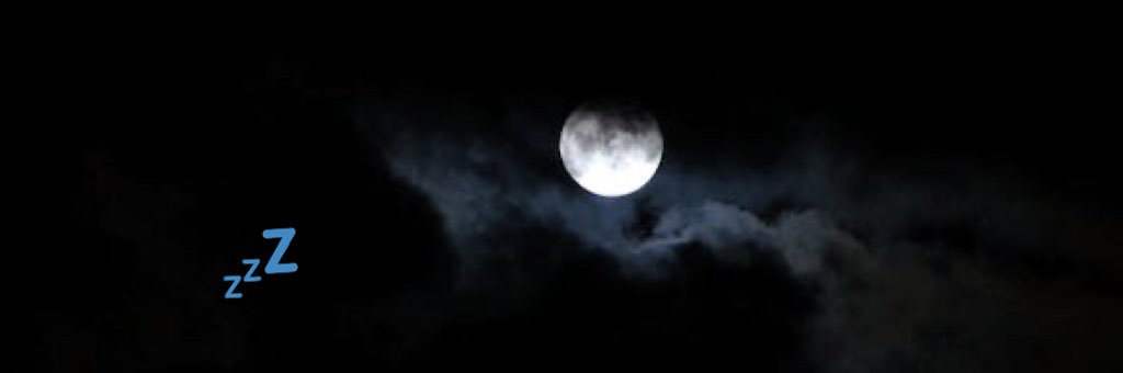 napper__dan's profile banner image