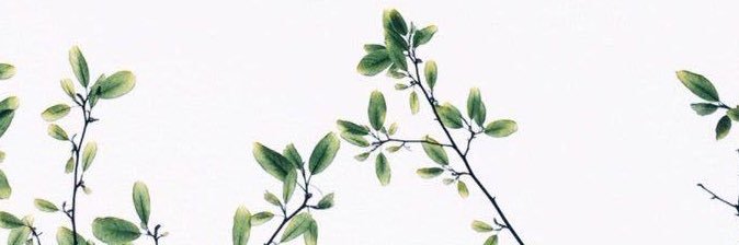 memoo978's profile banner image