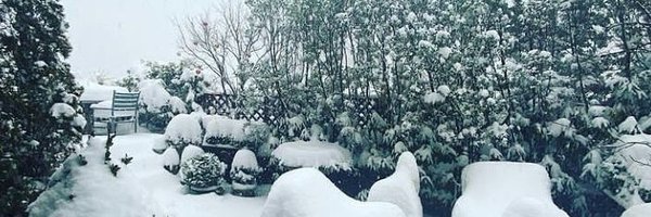 le_juggernaut Profile Banner