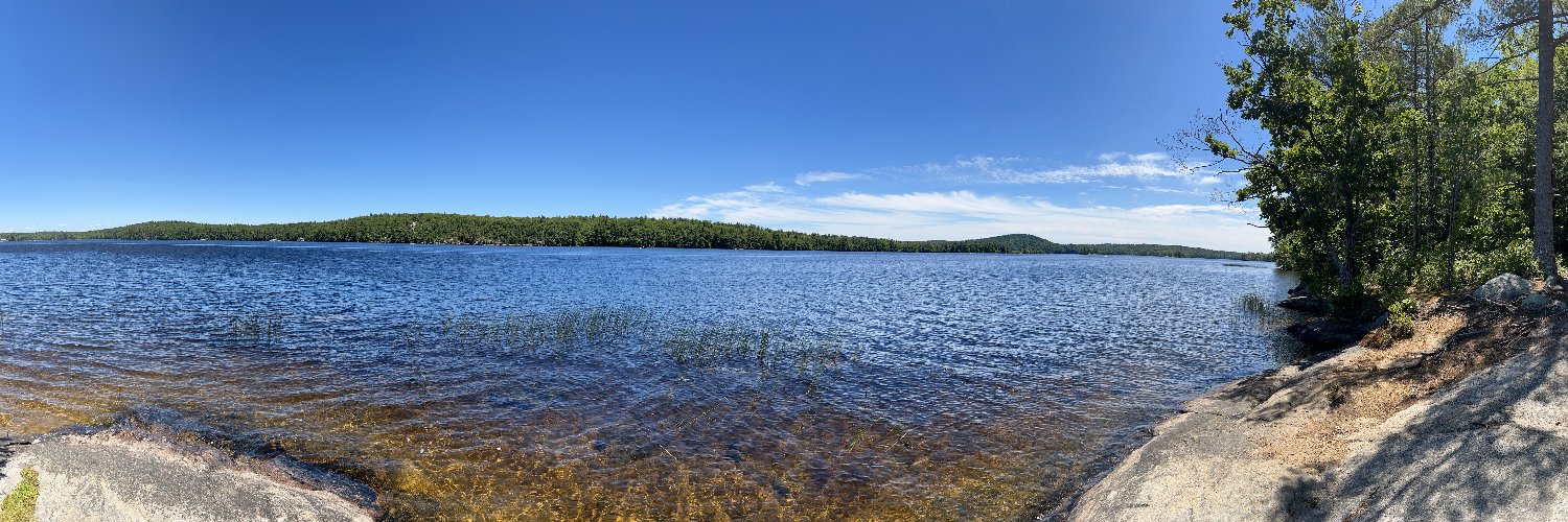 maude lemaire banner