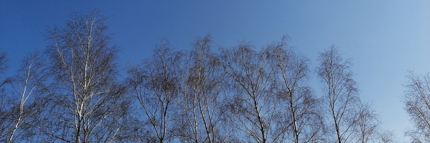 AntheaLewis1's profile banner image