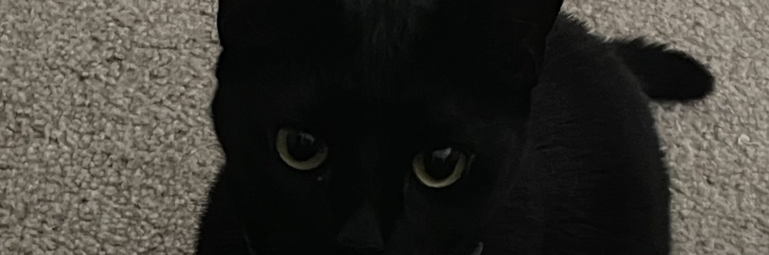 elissuuh's profile banner image