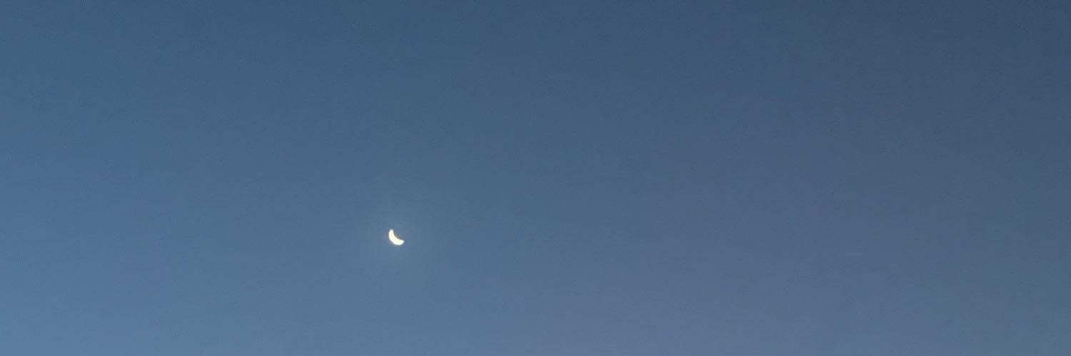 Timodomenico's profile banner image