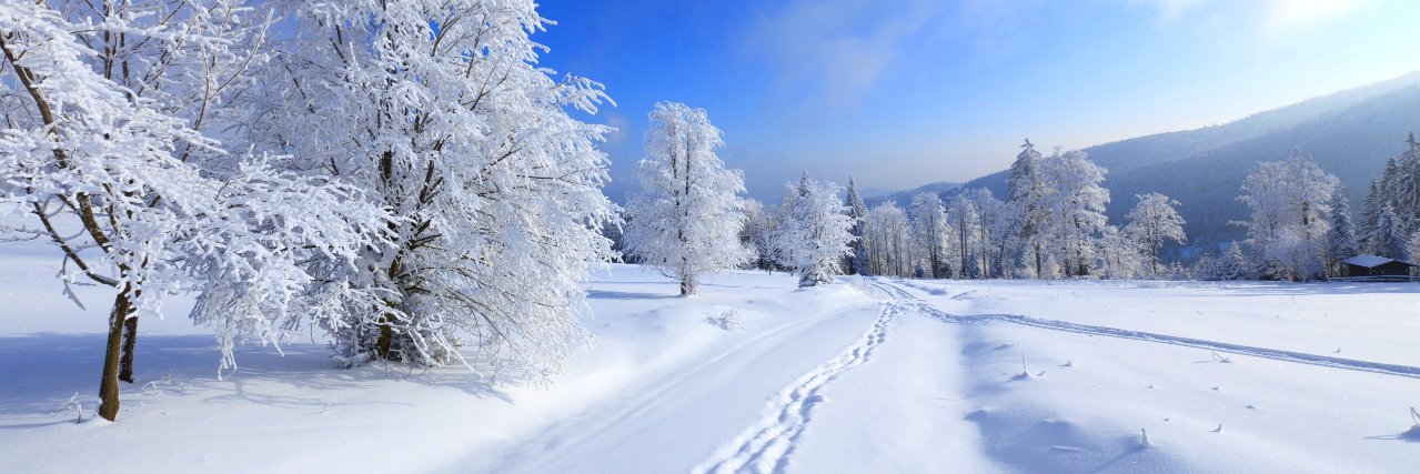 wanderwinters's profile banner image