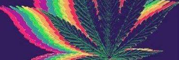 Jay593's profile banner image