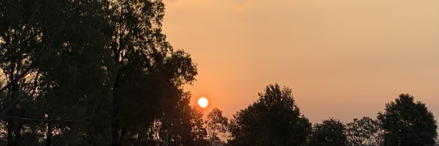 🦋🦋🦋🦋 banner