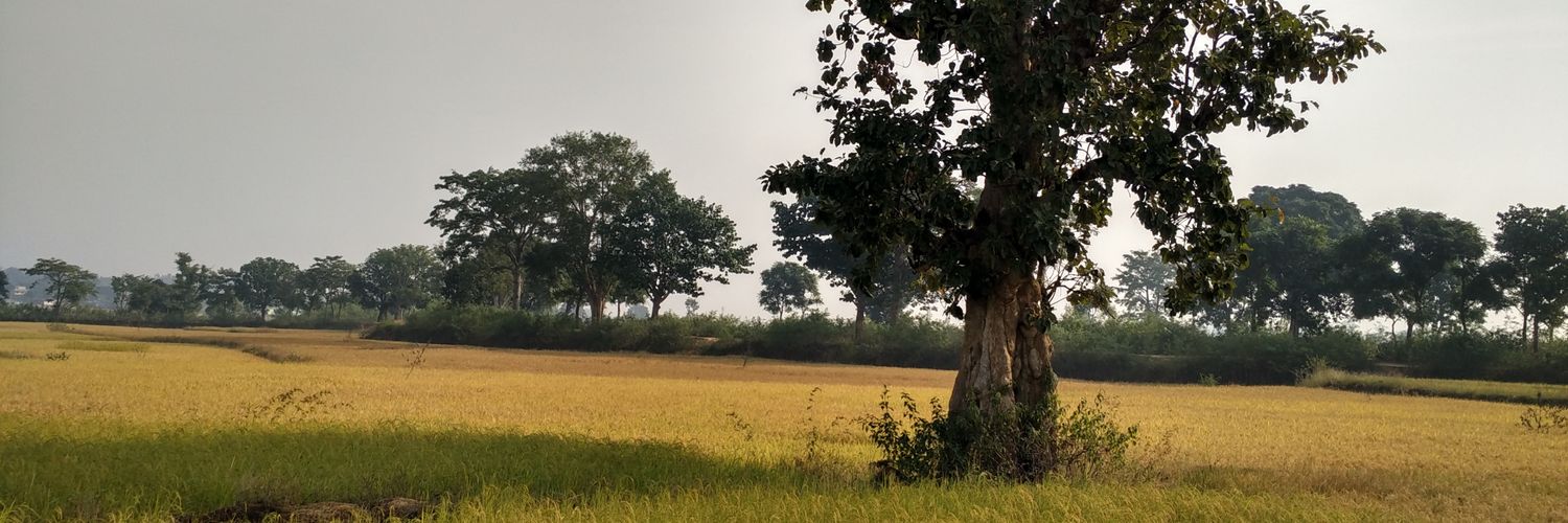 vikasgope's profile banner image
