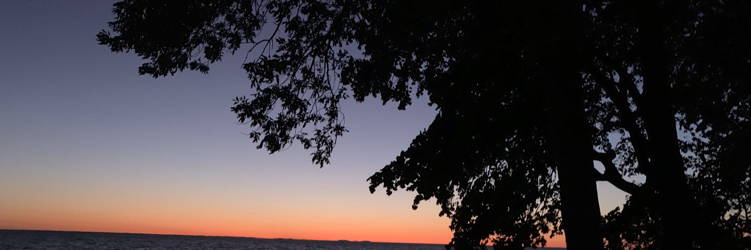 Bridget Poidinger banner