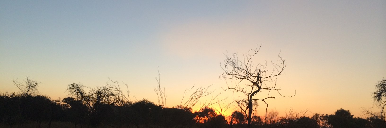 Diane Coetzer banner