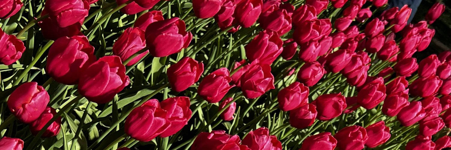 Ahill__'s profile banner image