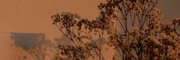 _azza's profile banner image