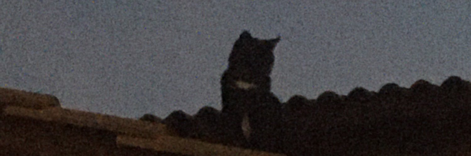 lasoajime's profile banner image
