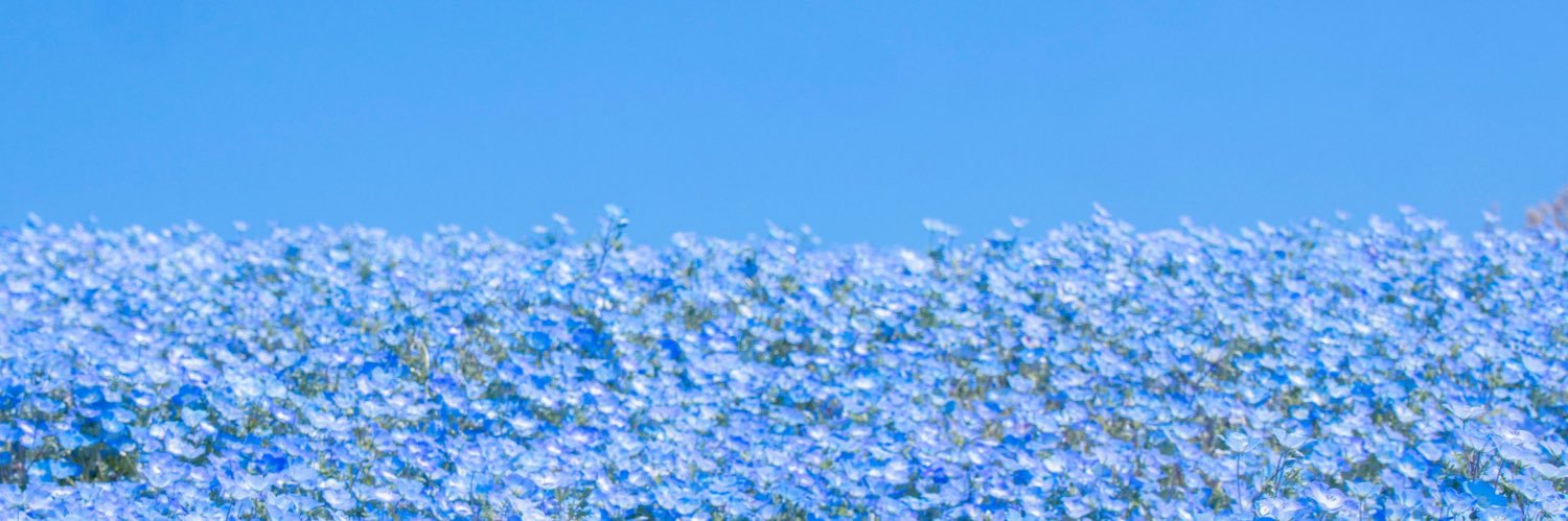 な banner