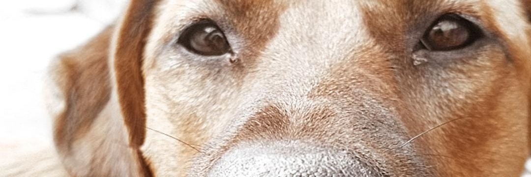 ValennBorges's profile banner image