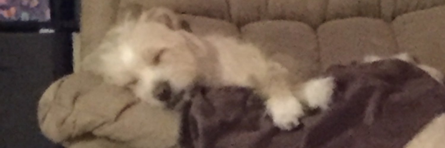 AmandaCMA22's profile banner image
