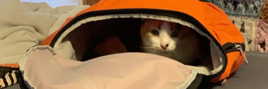stiverson_will's profile banner image