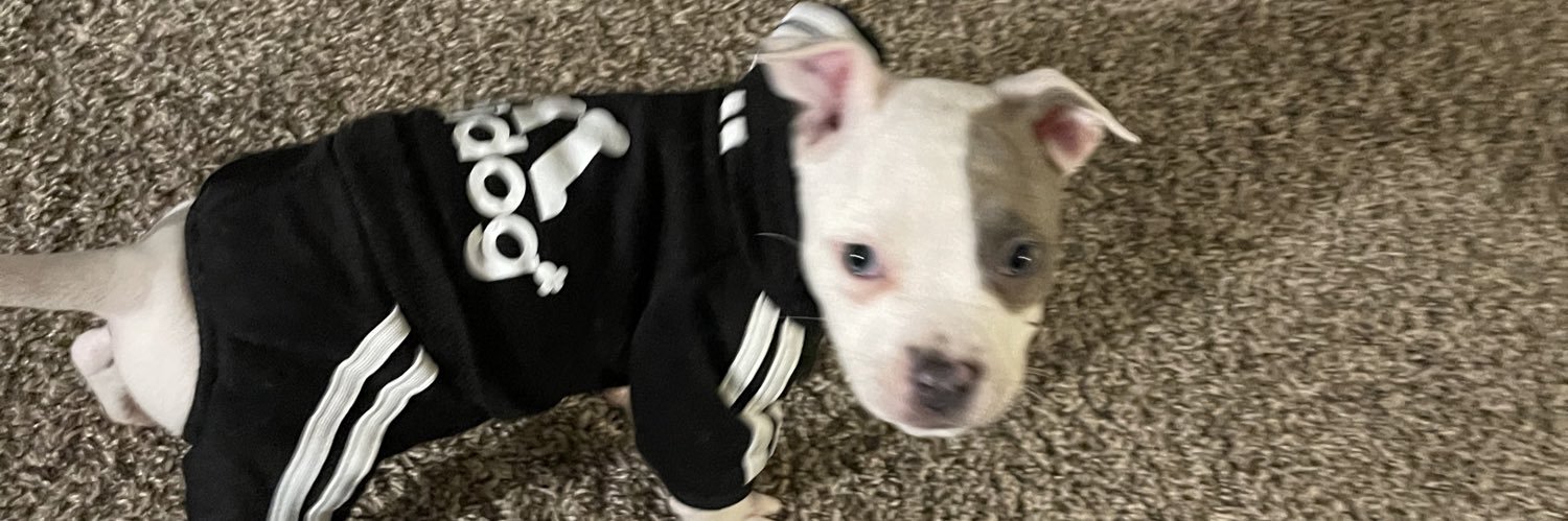 cesar0020's profile banner image