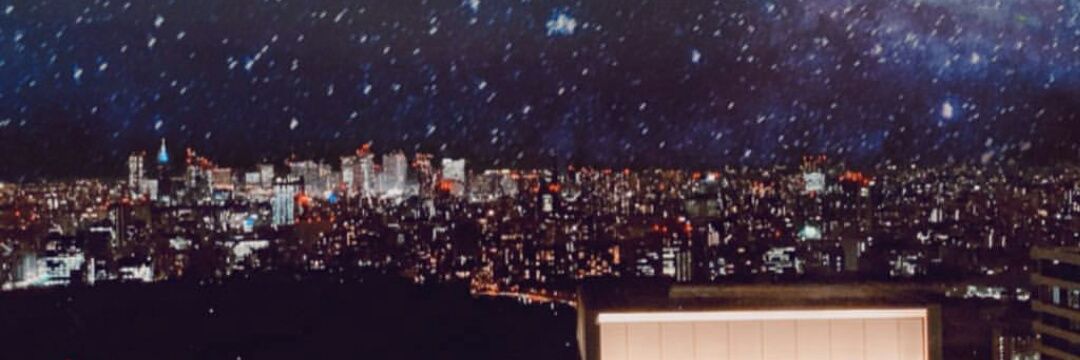 seeftylia's profile banner image