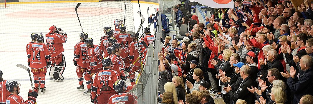Västerviks-Tidningen banner