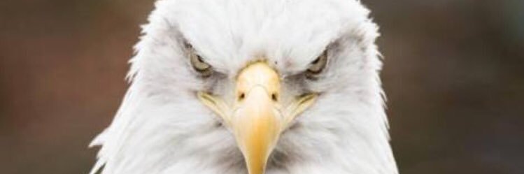 andyfumo69's profile banner image