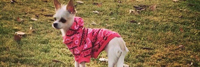 MissJenniPants's profile banner image