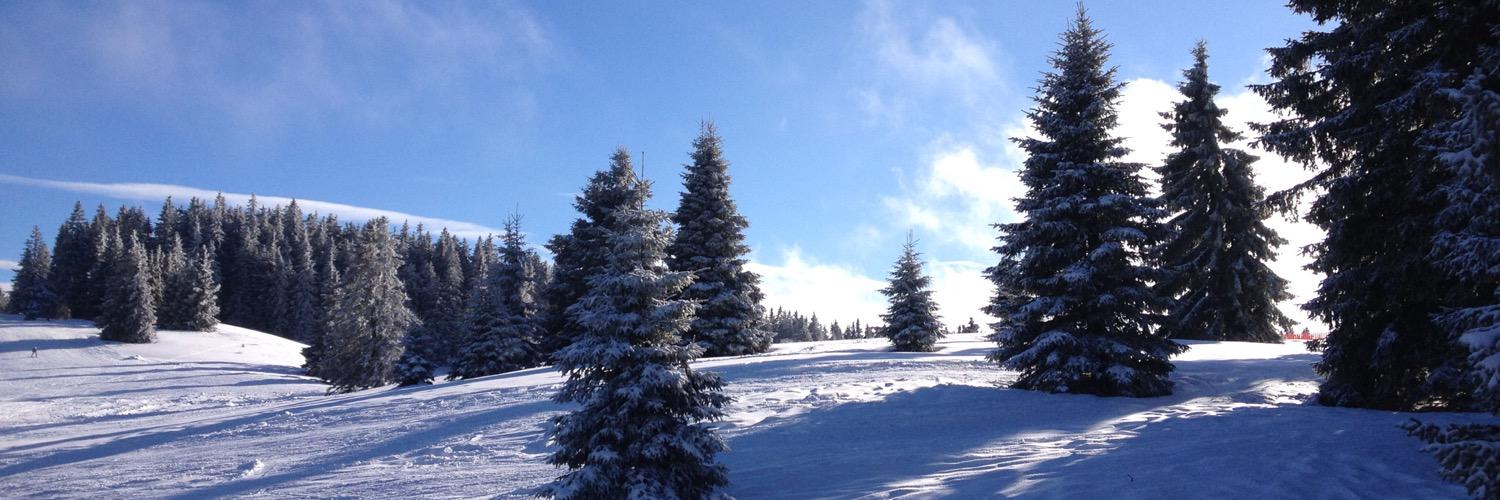 sarah_lerch's profile banner image
