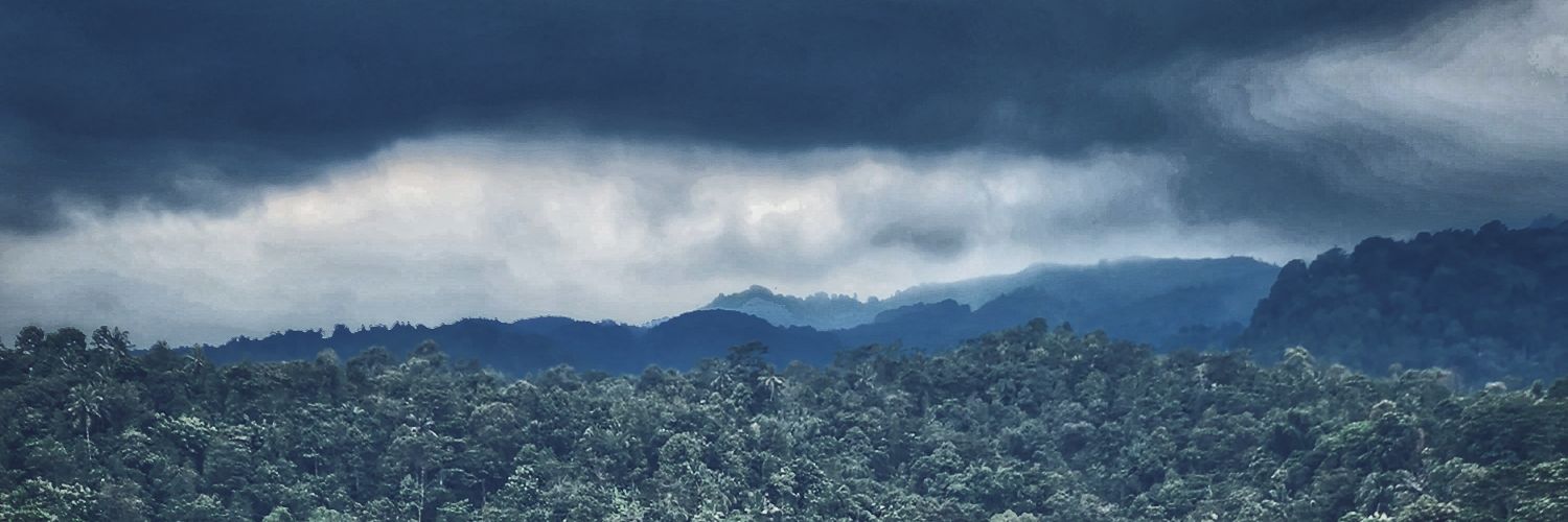 freinatta's profile banner image