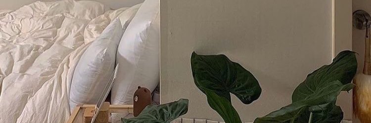 yuil_jvcc's profile banner image