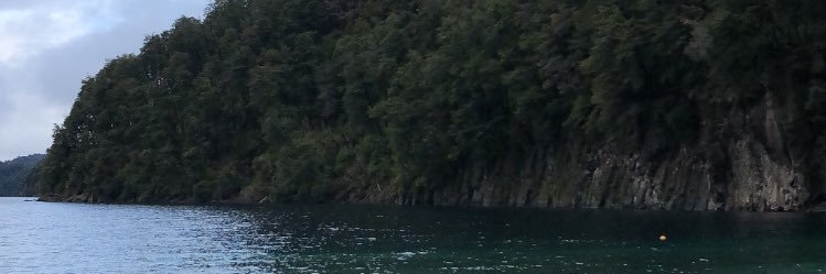 tomifelice0's profile banner image