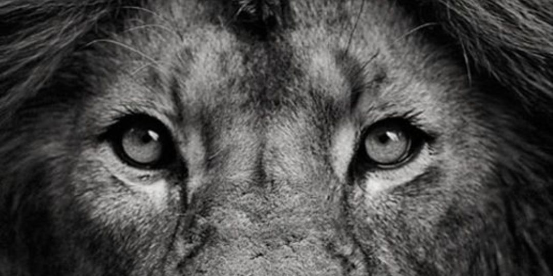 Dlizco92's profile banner image